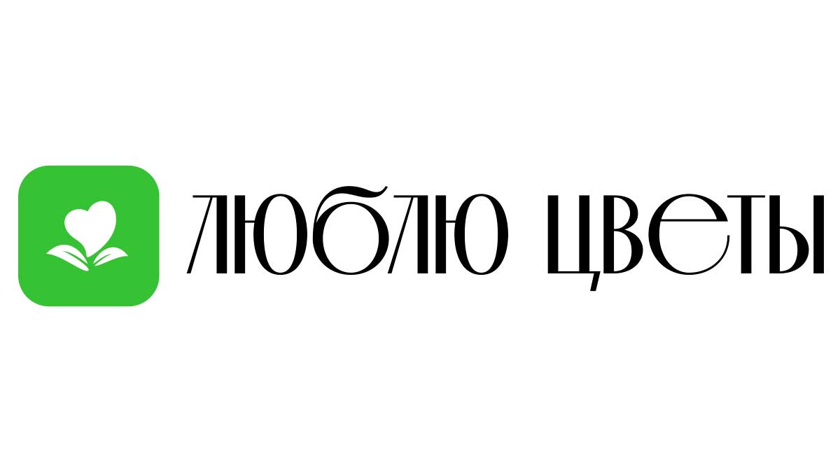 Доставка цветов - Отрадный | Купить цветы и букеты - Недорого -  Круглосуточно | Заказ на дом от интернет-магазина «Люблю цветы»